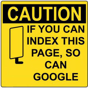 GOOGLE-INDEX-SEO-ISSUES